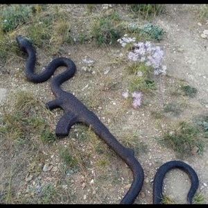 Meet your Posher, Caesar